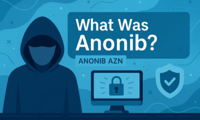 What Was Anonib? Anonib AZN’ representing internet privacy and the history of the Anonib website.”