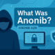 What Was Anonib? Anonib AZN’ representing internet privacy and the history of the Anonib website.”