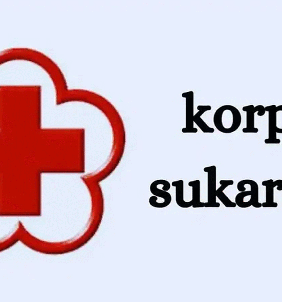 Korps Sukarela logo representing the volunteer corps of the Indonesian Red Cross (PMI)