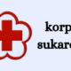 Korps Sukarela logo representing the volunteer corps of the Indonesian Red Cross (PMI)